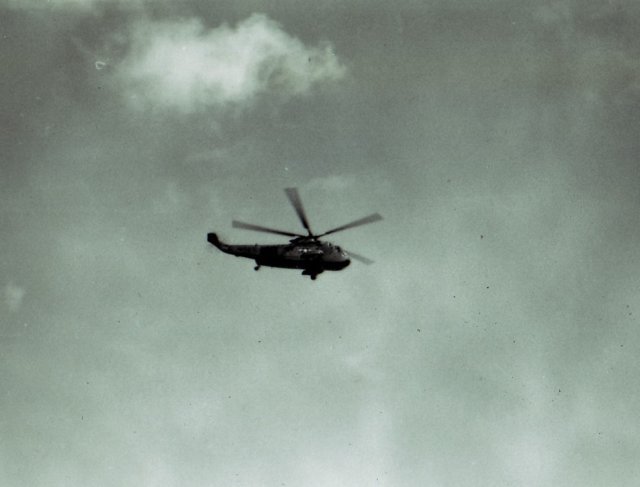 ourbirdinthesky.jpg