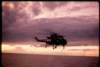 y09_jpg_small.jpg