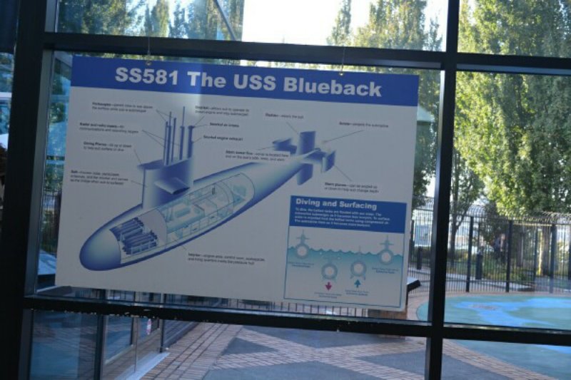 bluebackdiagram.jpg
