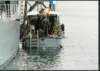 reeves_096_jpg_small.jpg