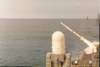 reeves_099_jpg_small.jpg